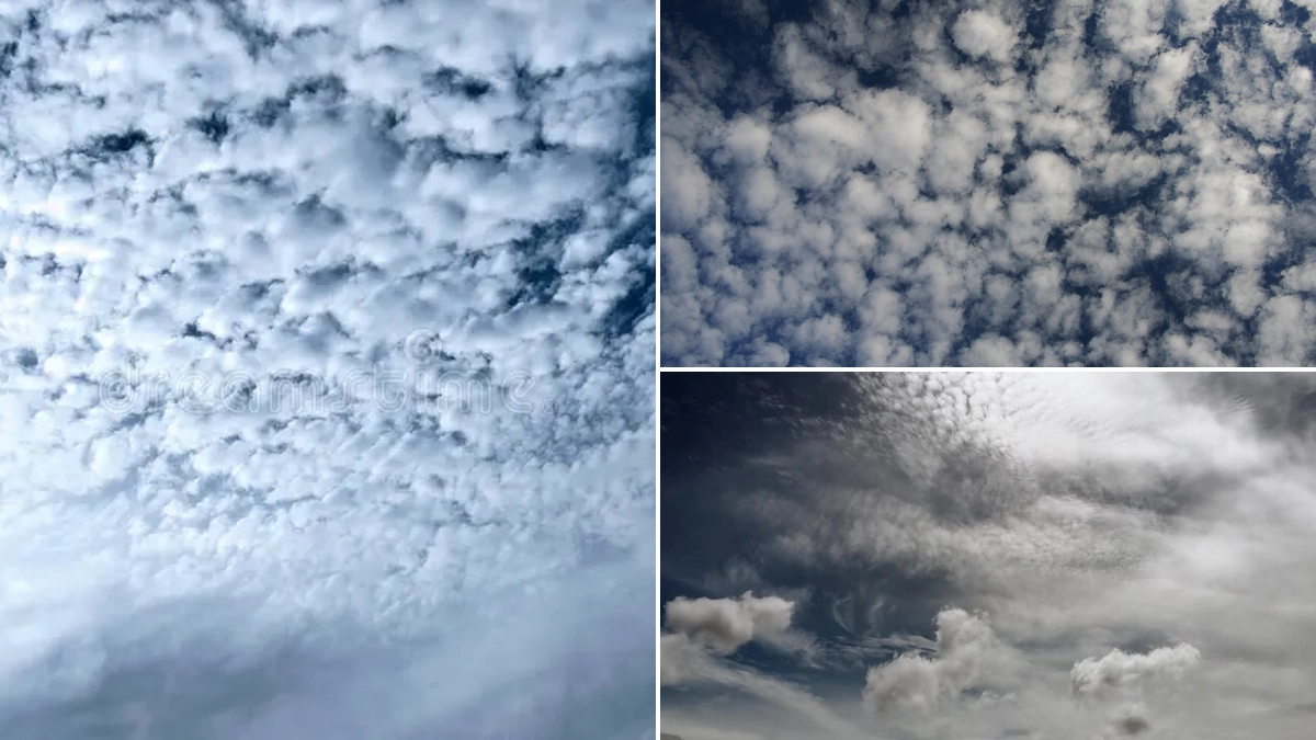 Understanding Altocumulus Standing Lenticular Clouds in New Mexico