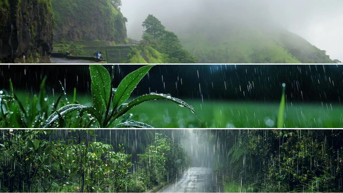 Understanding Monsoon Rains: Causes, Impacts, and Global Significance