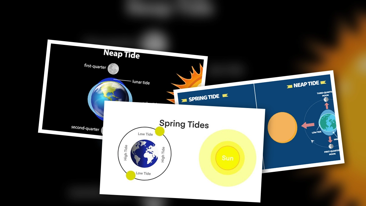 Understanding Neap Tides and Spring Tides