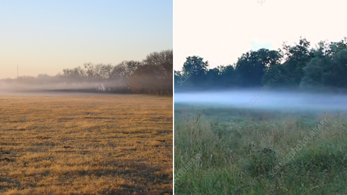 Understanding Radiation Fog: Formation, Identification, and Safety