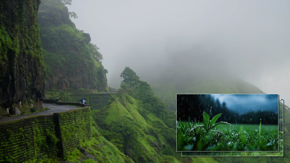Understanding the Monsoon Season: Benefits, Hazards, and Timing