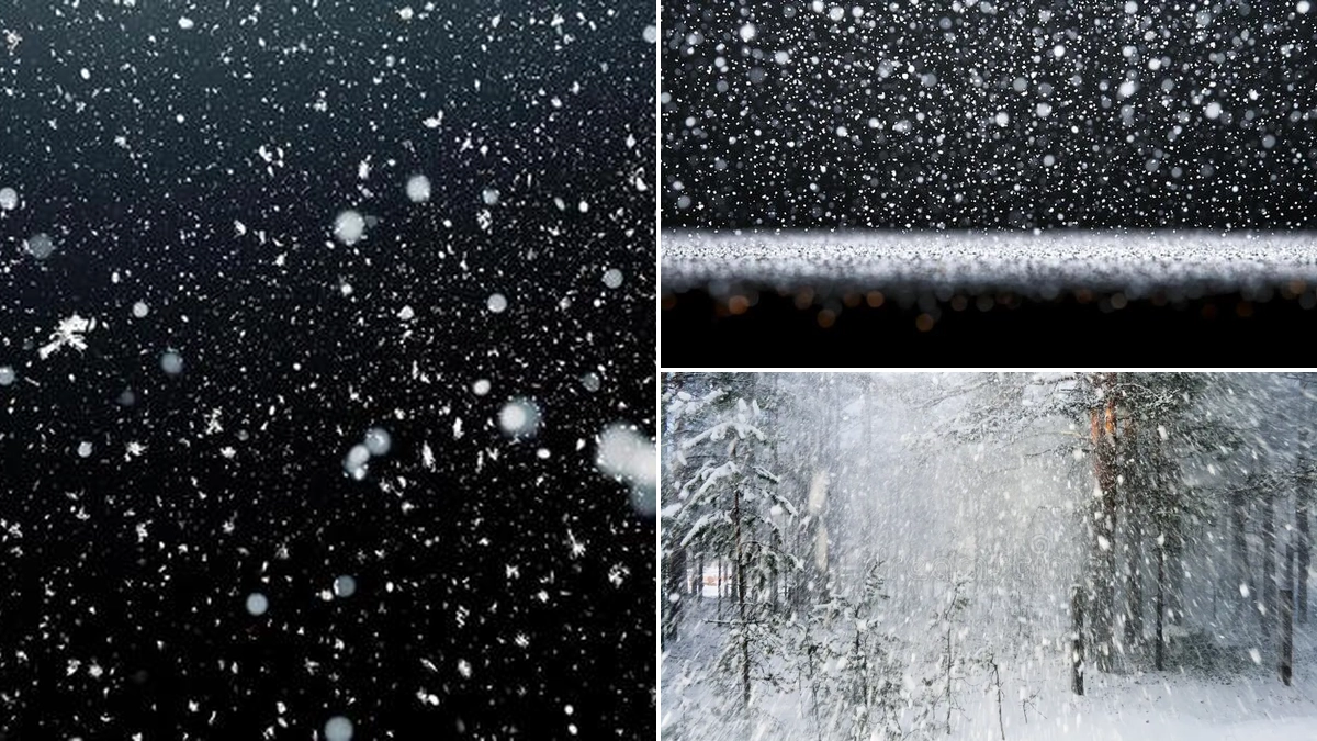 Understanding the Snow Flurry: Definition, Examples, and Related Flora