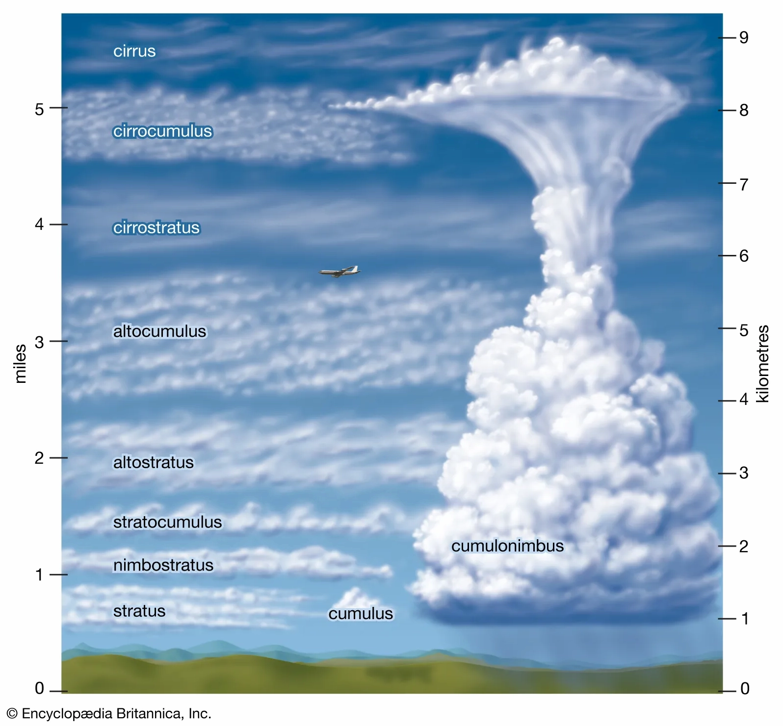 Various types of cumulus clouds in a clear sky