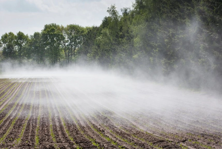 Water evaporates from a sugar beet field after a summer shower in Borger, Netherlands