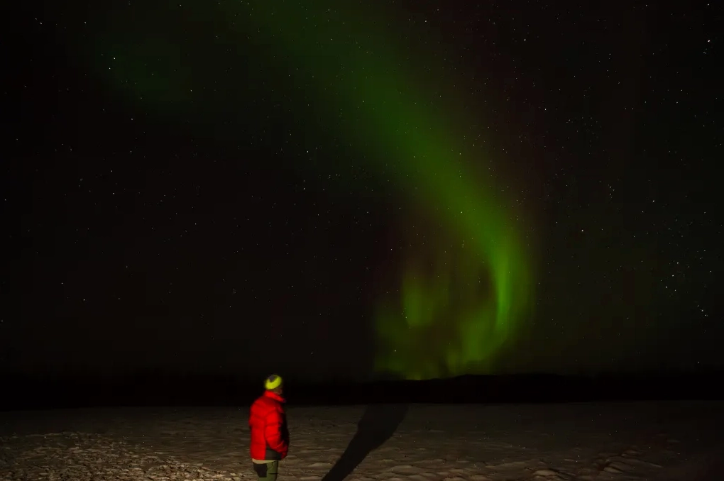 Wide-angle view of aurora borealis across the sky