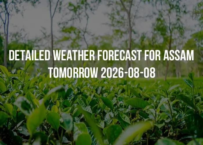 Detailed weather forecast for Assam tomorrow 2026-08-08