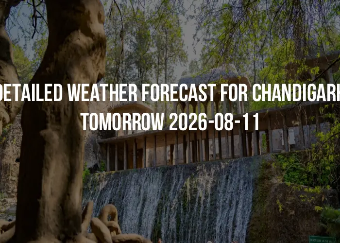 Detailed weather forecast for Chandigarh tomorrow 2026-08-11
