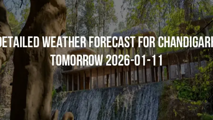 Detailed weather forecast for Chandigarh tomorrow 2026-01-11