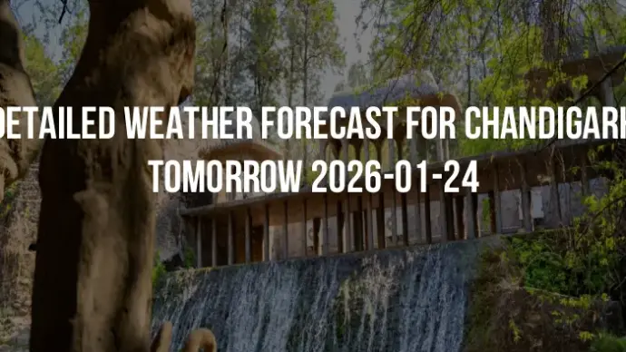 Detailed weather forecast for Chandigarh tomorrow 2026-01-24