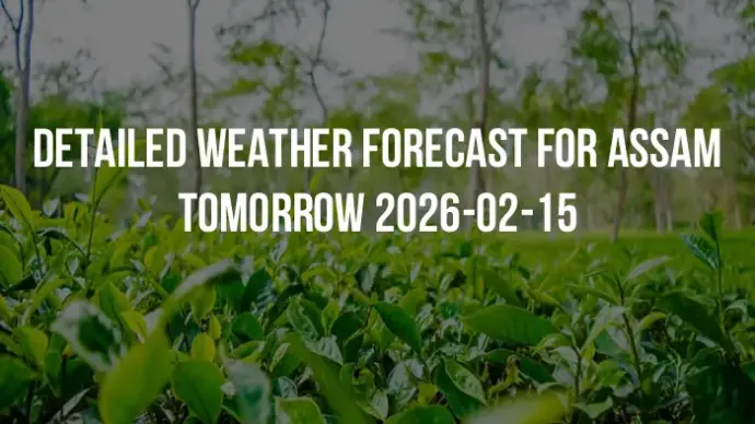 Detailed weather forecast for Assam tomorrow 2026-02-15