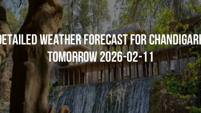 Detailed weather forecast for Chandigarh tomorrow 2026-02-11