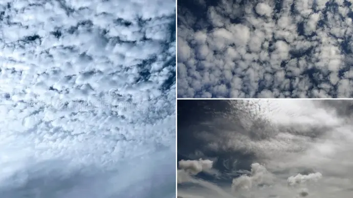 Understanding Altocumulus Standing Lenticular Clouds in New Mexico