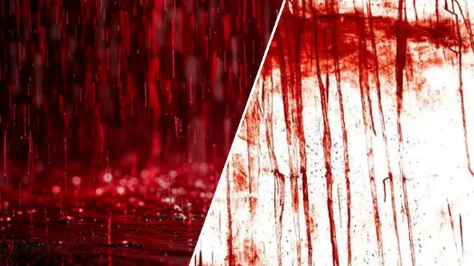 Understanding Blood Rain: Causes, Frequency, and Historical Context