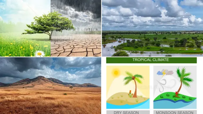 Understanding the Dry and Wet Seasons: A Global Perspective