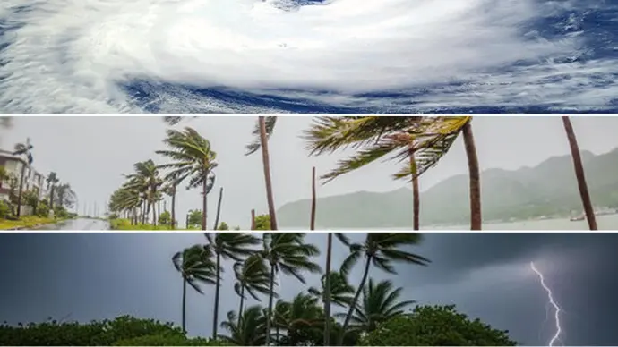 Understanding Tropical Storms: Definitions, Differences, and Safety