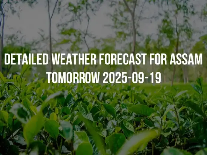 Detailed weather forecast for Assam tomorrow 2025-09-19
