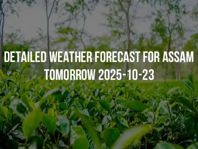 Detailed weather forecast for Assam tomorrow 2025-10-23