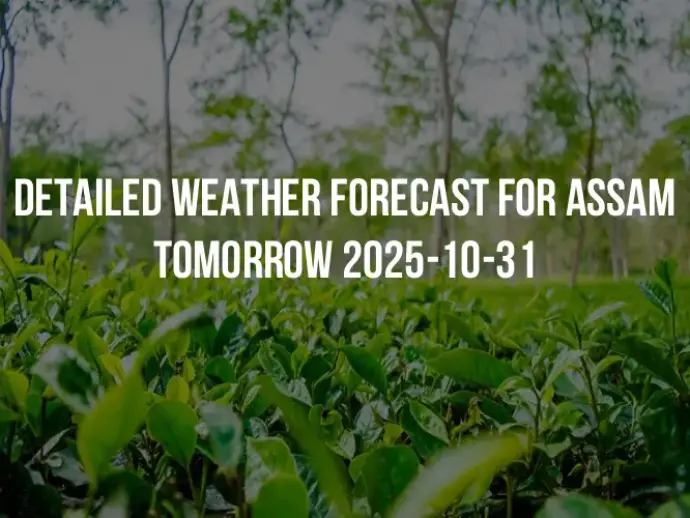 Detailed weather forecast for Assam tomorrow 2025-10-31