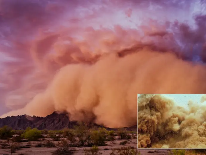 Sandstorms vs. Dust Storms Understanding These Powerful Weather Phenomena