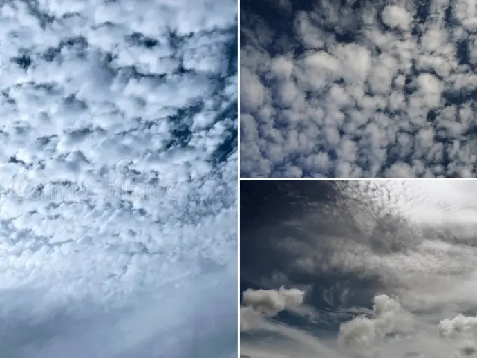 Understanding Altocumulus Standing Lenticular Clouds in New Mexico