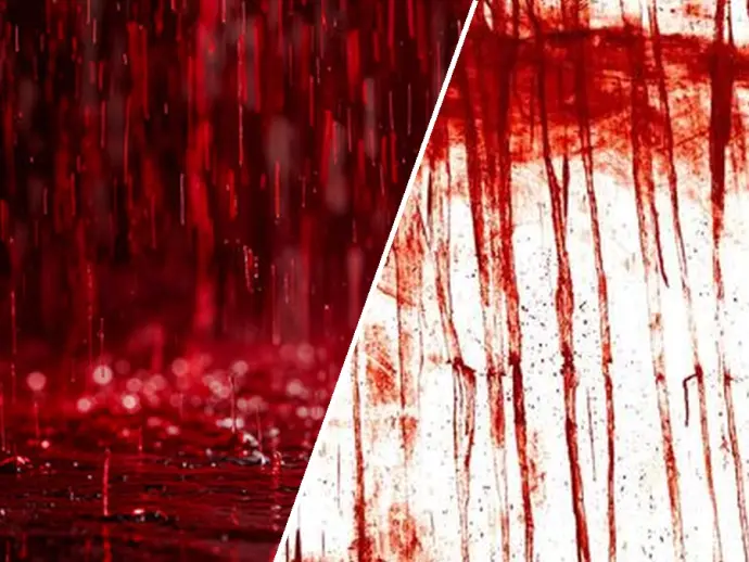 Understanding Blood Rain: Causes, Frequency, and Historical Context