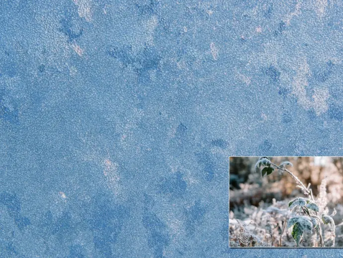 Understanding Frost Conditions and Their Meteorological Causes