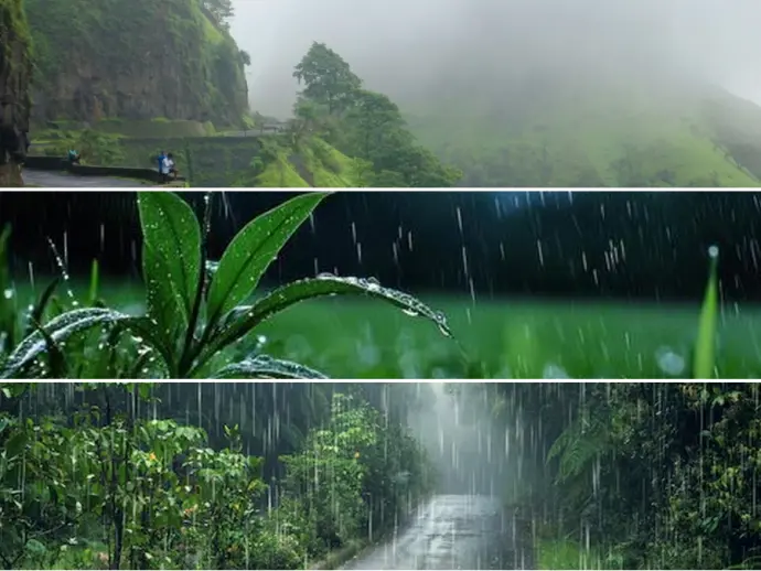 Understanding Monsoon Rains: Causes, Impacts, and Global Significance