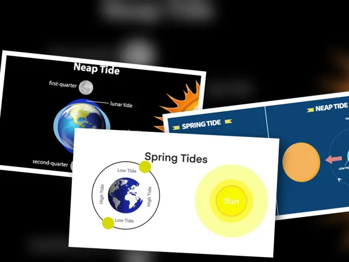Understanding Neap Tides and Spring Tides