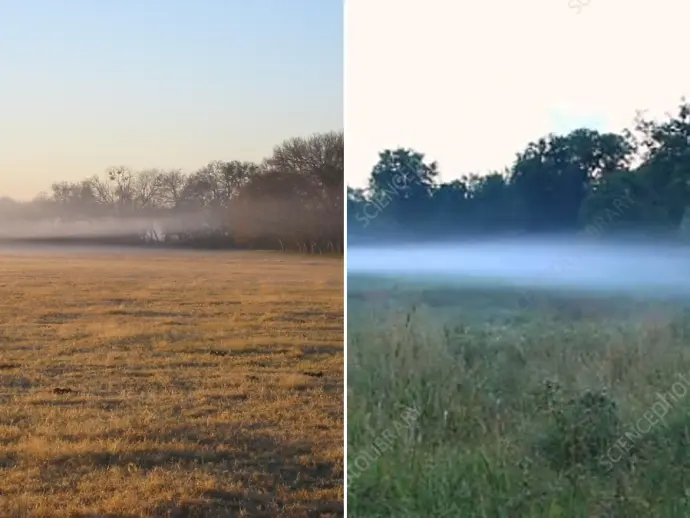 Understanding Radiation Fog: Formation, Identification, and Safety