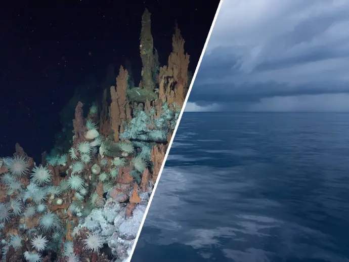Understanding the Doldrums: An Oceanographic and Meteorological Phenomenon