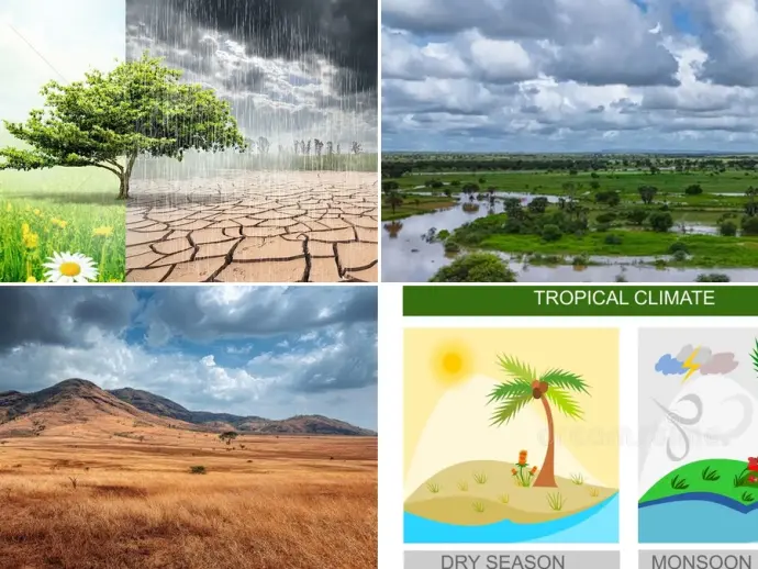 Understanding the Dry and Wet Seasons: A Global Perspective