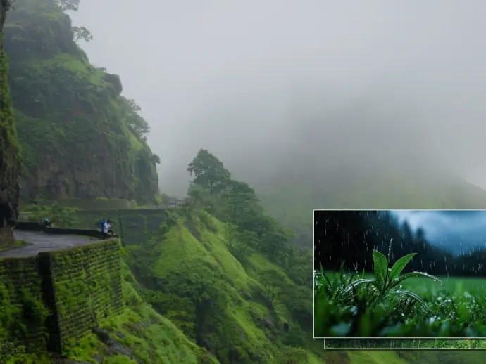 Understanding the Monsoon Season: Benefits, Hazards, and Timing