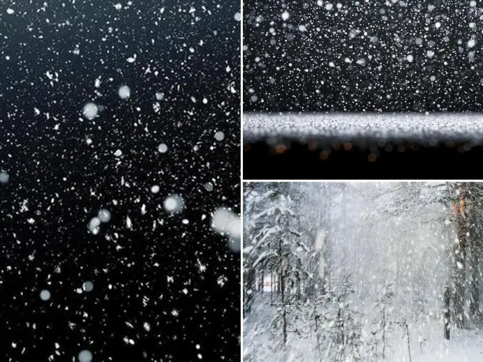 Understanding the Snow Flurry: Definition, Examples, and Related Flora