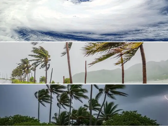 Understanding Tropical Storms: Definitions, Differences, and Safety