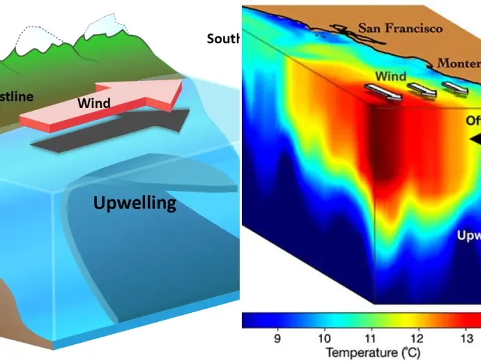 Understanding Upwelling: Nutrient Upwelling and Its Impact on Marine Ecosystems